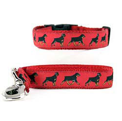 rottweiler collar and leash