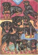 Rottweiler card